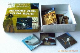 苍南县金乡大丰包装文化用品厂 专业匠心，点亮文化之美